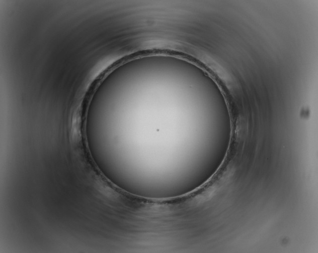 X0000103400877200809121240