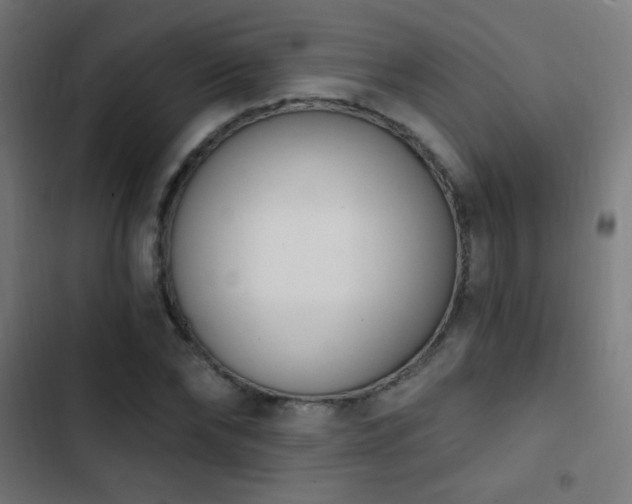 X0000103400878200809121240