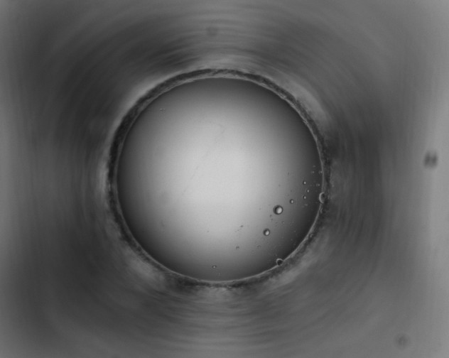 X0000103400880200809121240