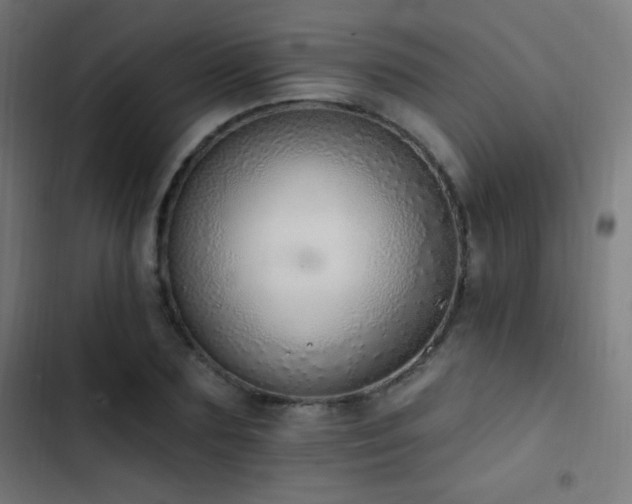 X0000103400883200809121240