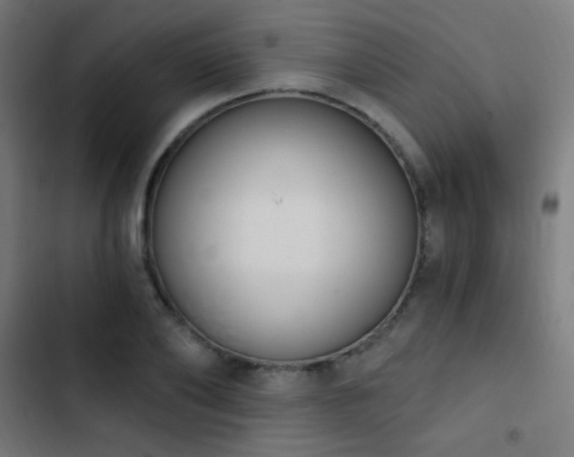 X0000103400886200809121240