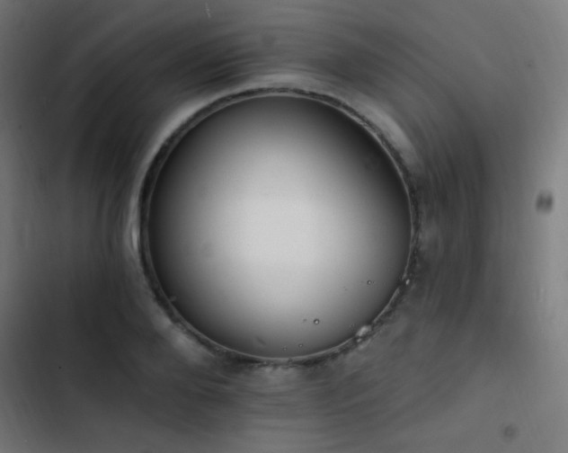 X0000103400888200809121240