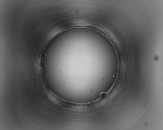 X0000103400889200809121240
