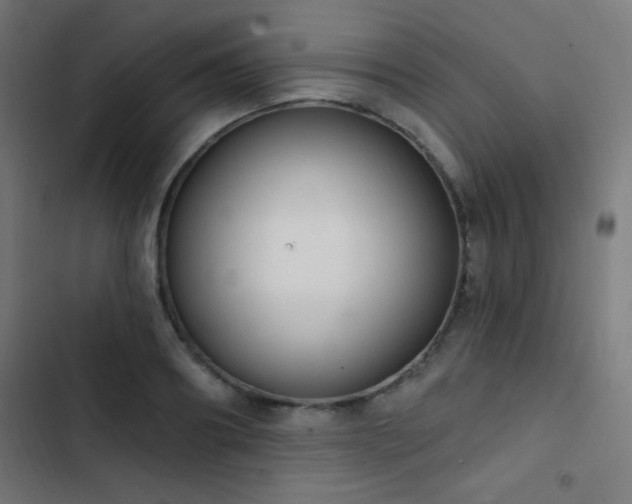 X0000103400890200809121240