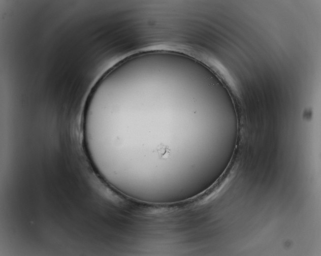 X0000103400892200809121239