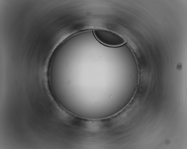 X0000103400893200809121239