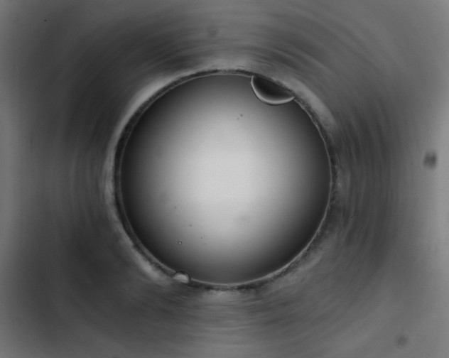 X0000103400894200809121239