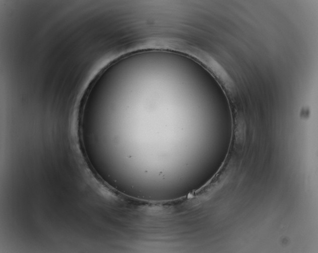 X0000103400896200809121239