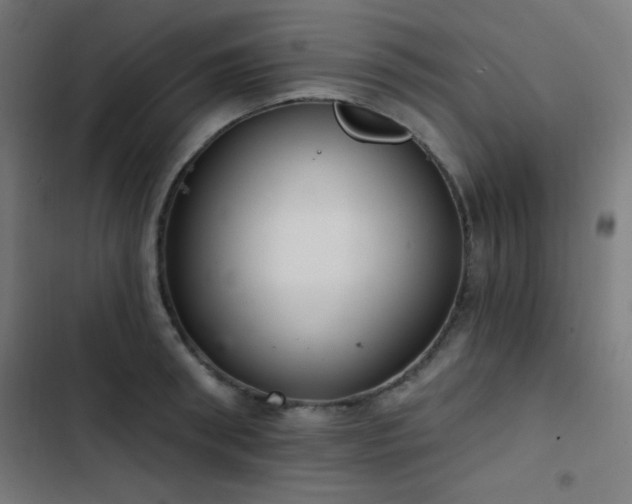 X0000103400898200809121239