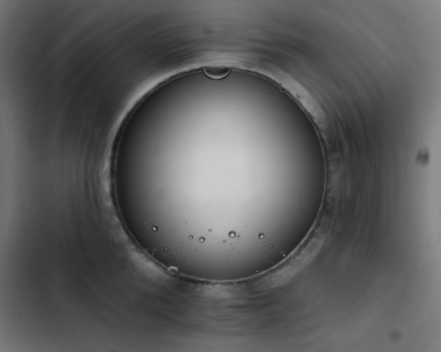 X0000103400904200809121239