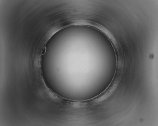 X0000103400905200809121239