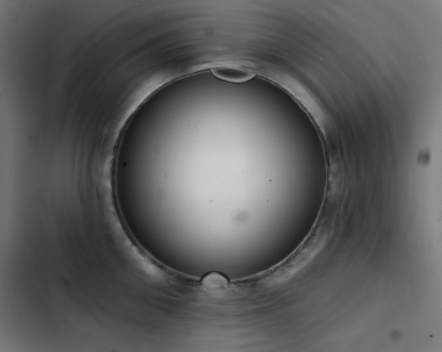 X0000103400906200809121239