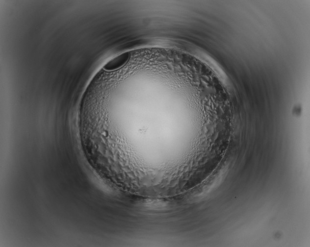 X0000103400907200809121239