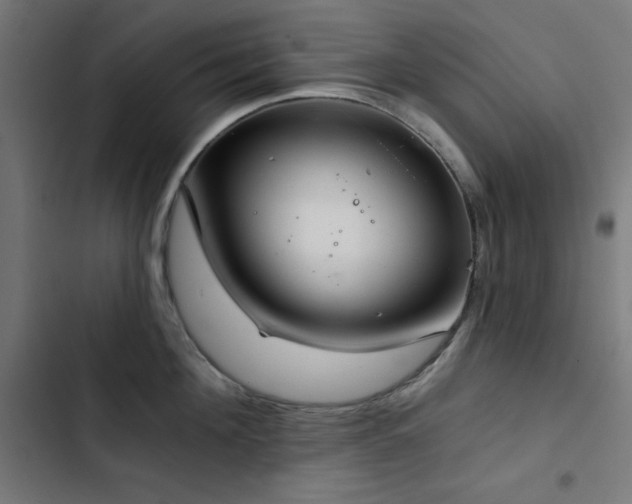 X0000103400908200809121239