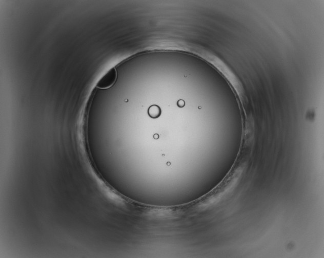 X0000103400909200809121239
