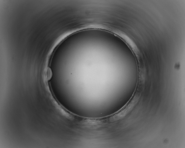 X0000103400910200809121239