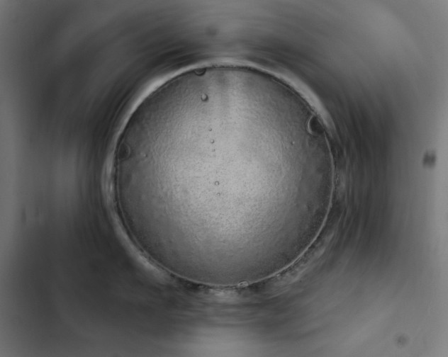 X0000103400911200809121239