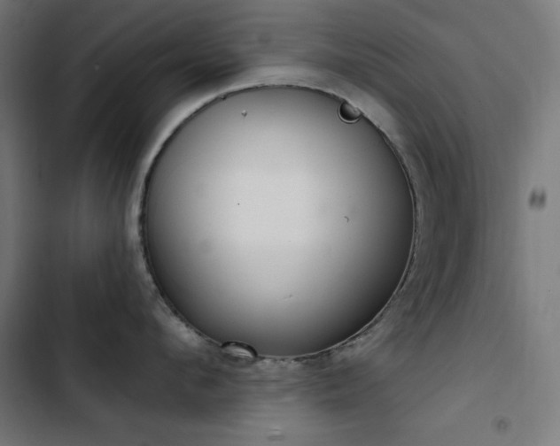 X0000103400912200809121239