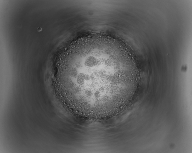 X0000103400913200809121238