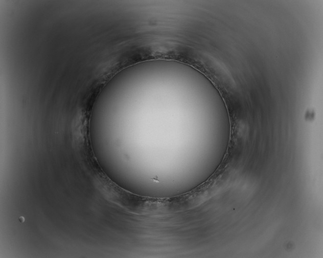 X0000103400914200809121238