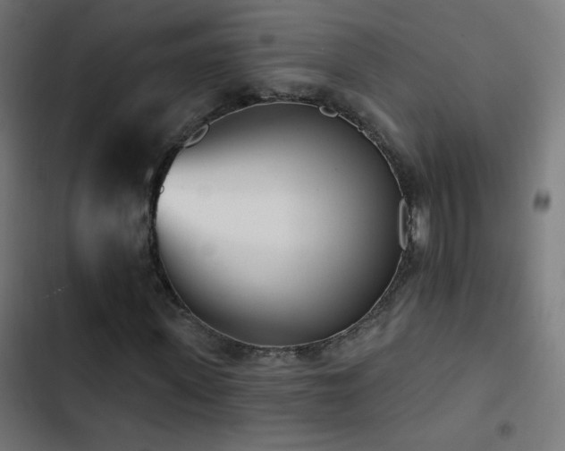 X0000103400915200809121238