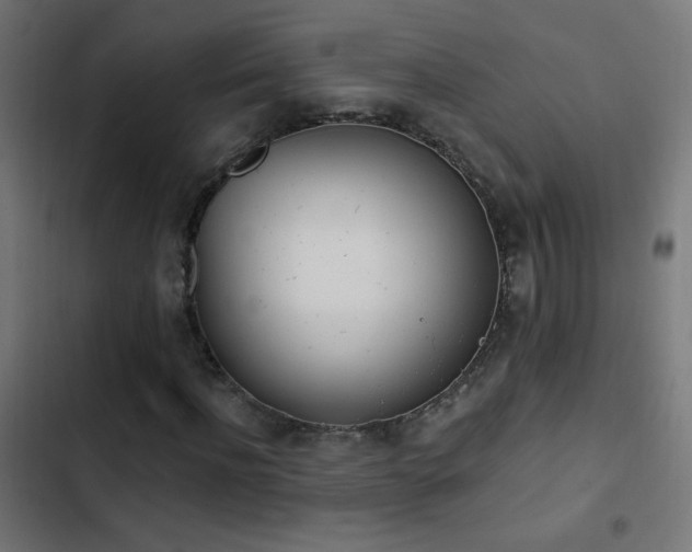 X0000103400916200809121238