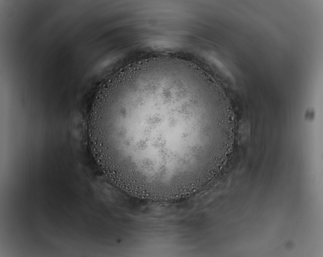 X0000103400917200809121238