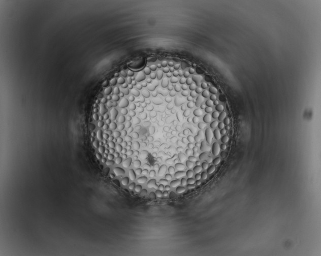 X0000103400918200809121238