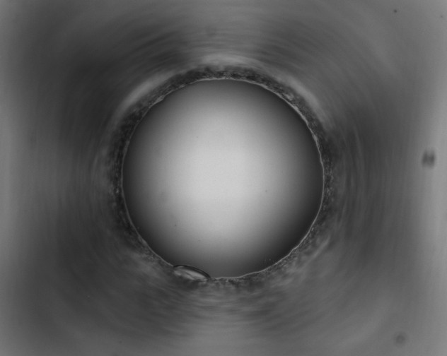 X0000103400919200809121238