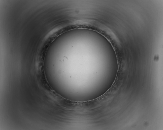 X0000103400920200809121238