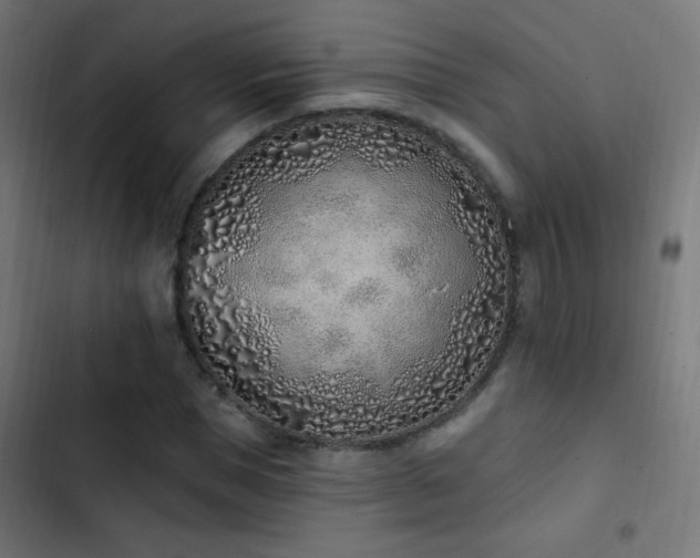 X0000103400921200809121238