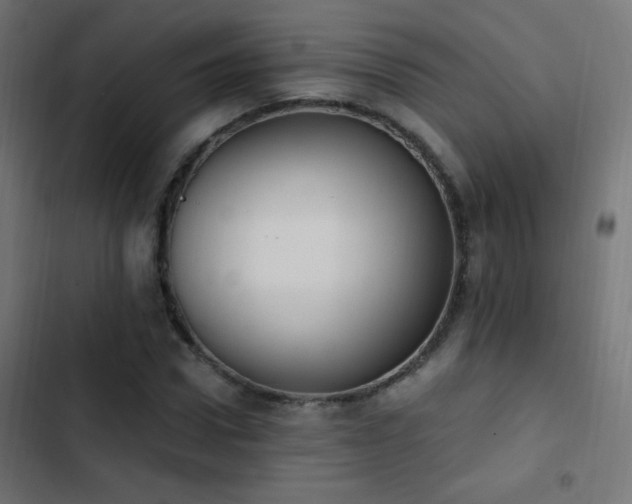 X0000103400922200809121238
