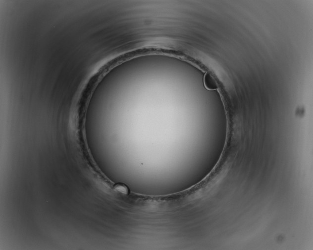 X0000103400923200809121239