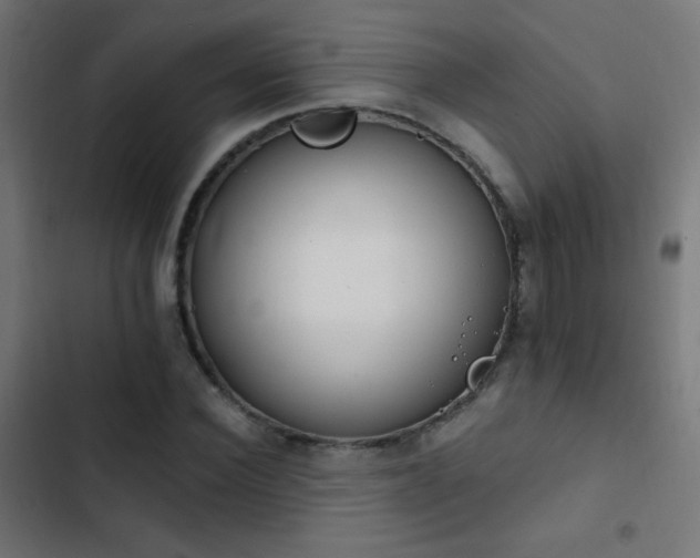 X0000103400924200809121239