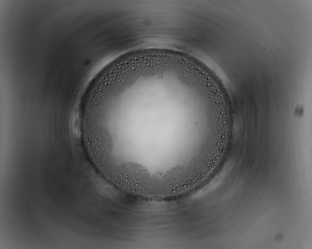 X0000103400925200809121239