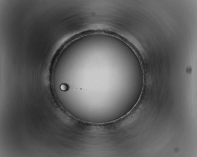 X0000103400927200809121239