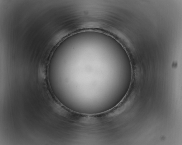 X0000103400929200809121239