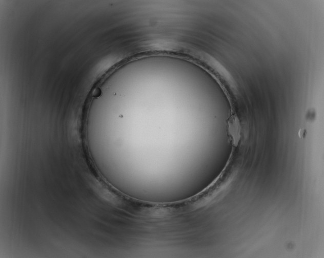 X0000103400930200809121239