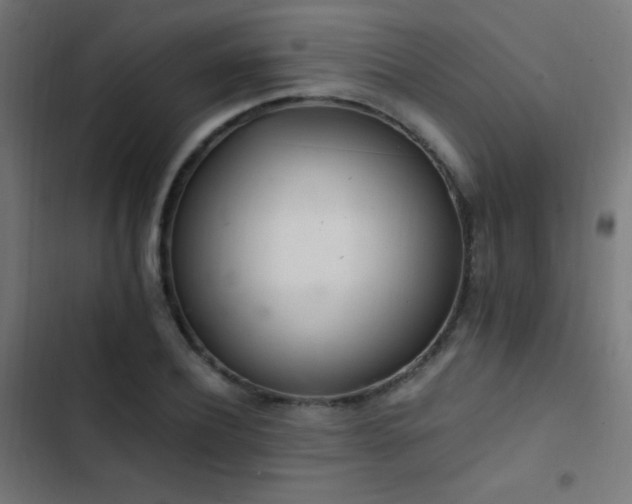 X0000103400932200809121239
