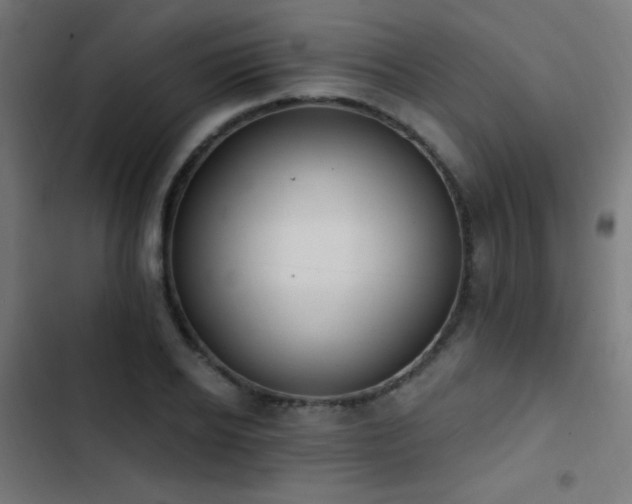 X0000103400934200809121239
