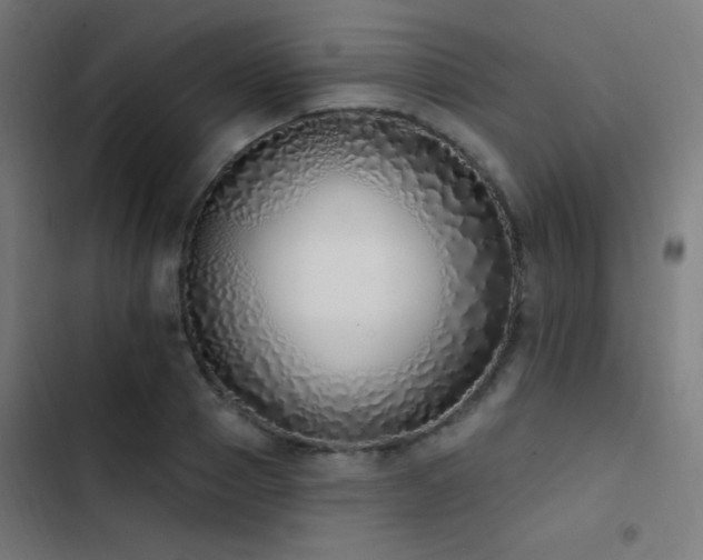 X0000103400937200809121239