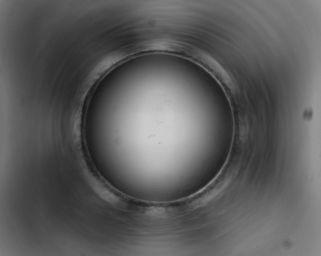 X0000103400938200809121239