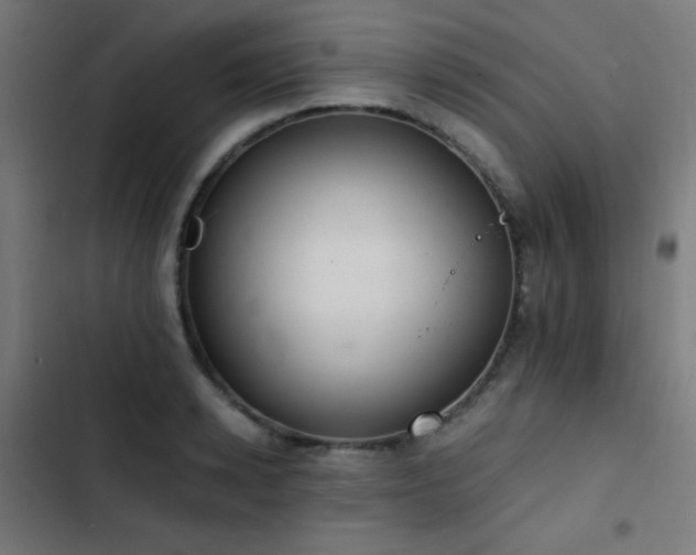 X0000103400942200809121239