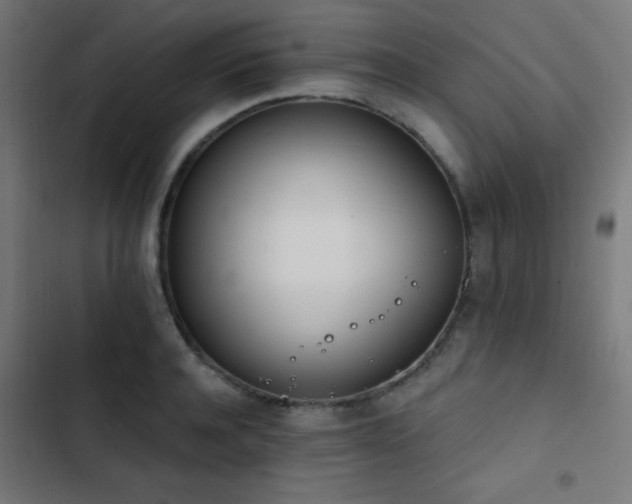 X0000103400944200809121239