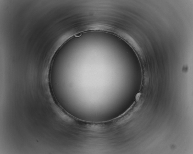 X0000103400946200809121239
