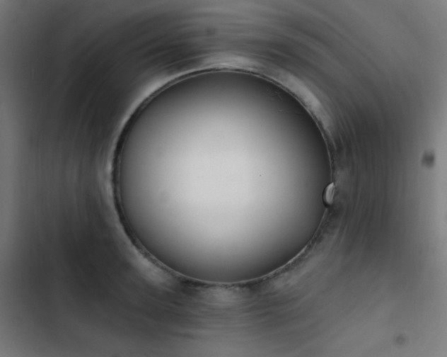 X0000103400947200809121239