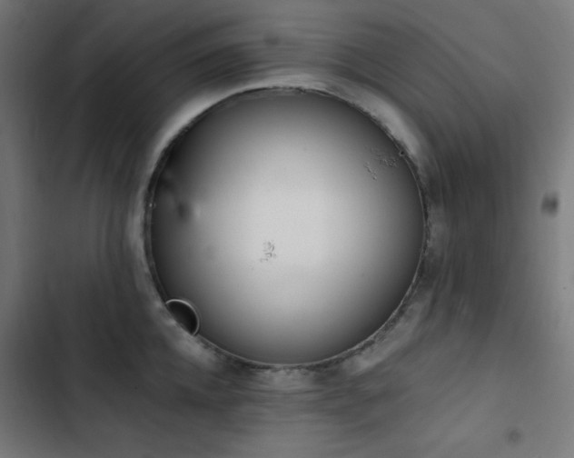 X0000103400952200809121239