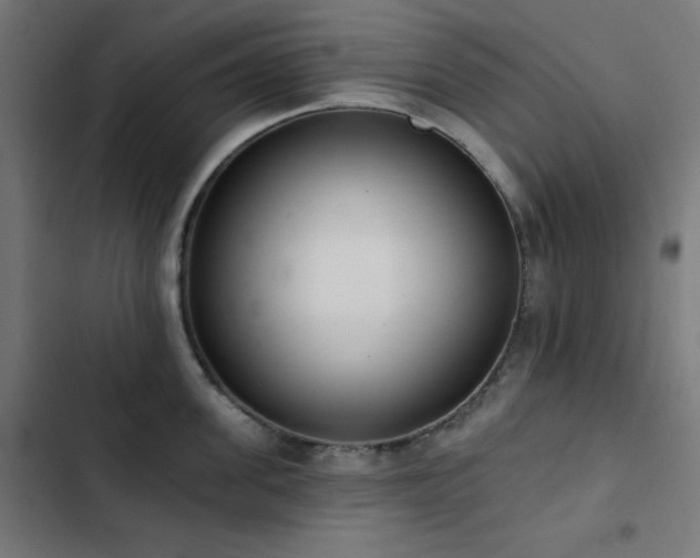 X0000103400955200809121239