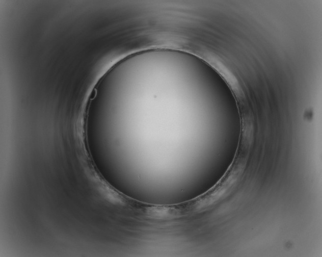 X0000103400956200809121239
