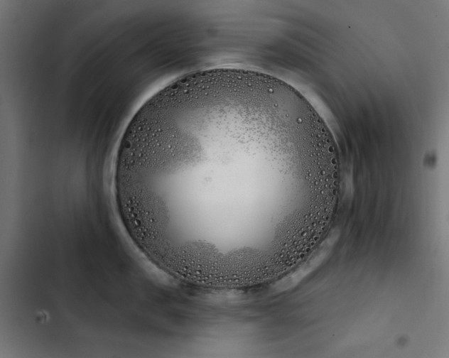 X0000103400957200809121239